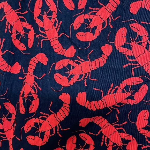 J. Crew size 6 Blue and Red Lobster Print Chino 5” Inseam Shorts with Pockets - Picture 9 of 12